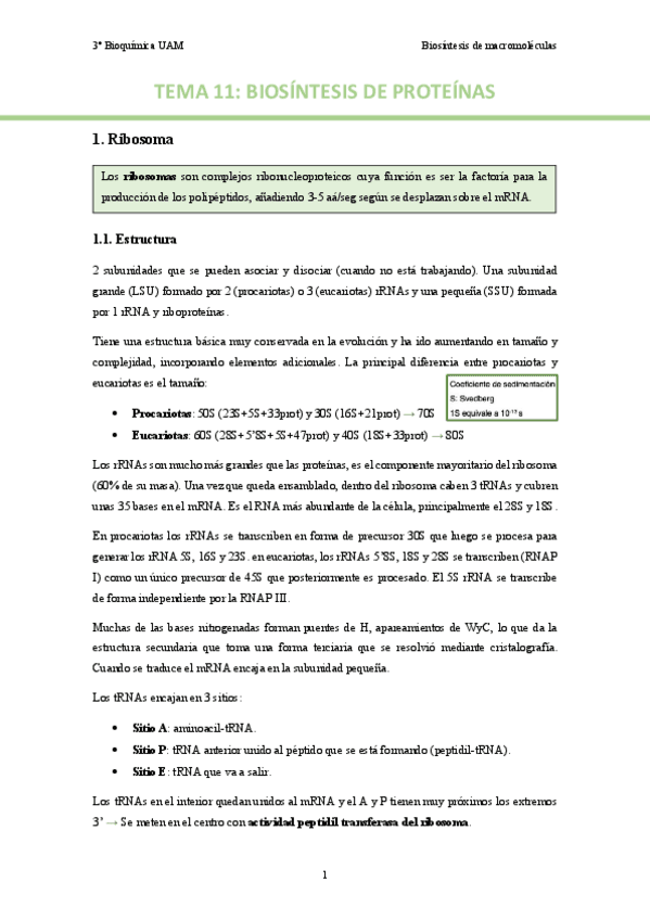 TEMA-11.-Biosintesis-de-proteinas..pdf