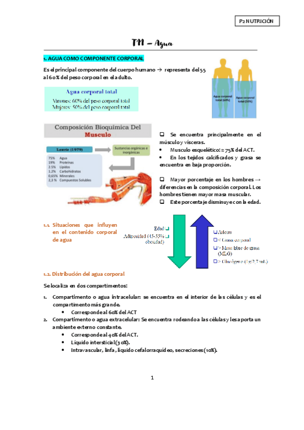 T11-Agua-apuntes.pdf