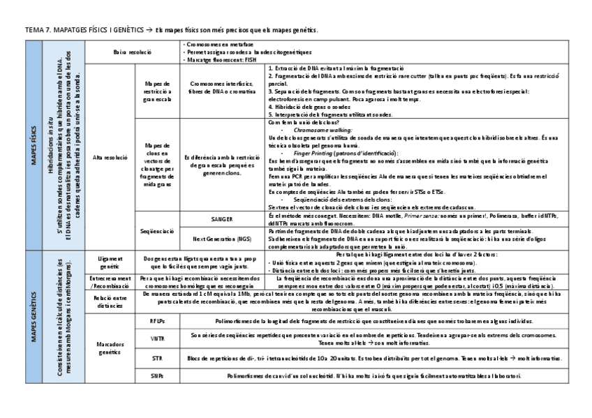 tema-7.-taula-resum-tecniques-de-mapatge.pdf