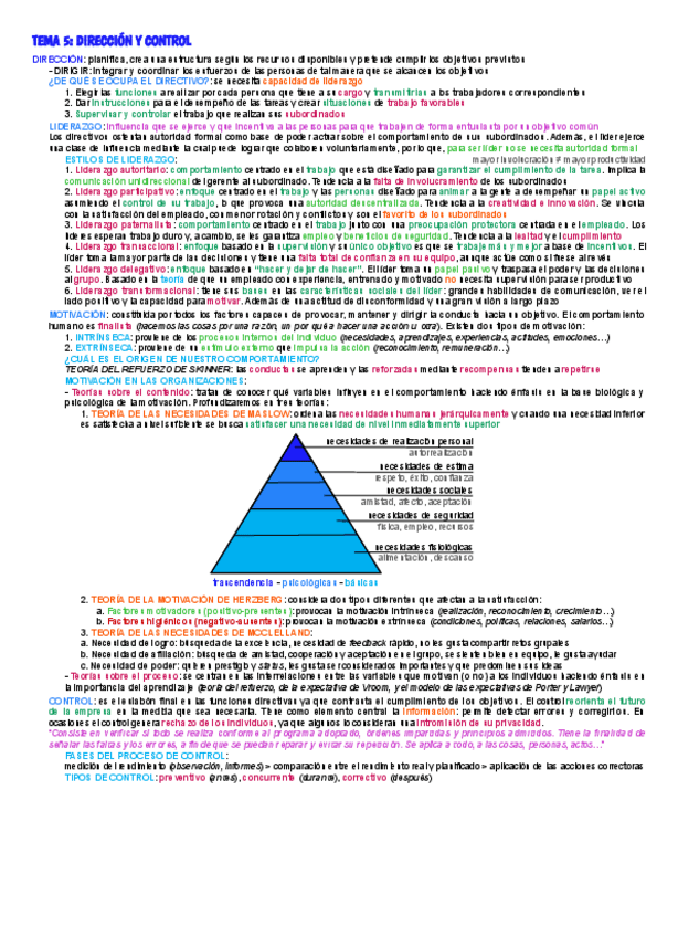 TEMA-5-DIRECCION-Y-CONTROL.pdf