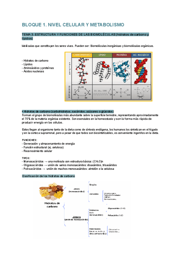 Actualizacion-del-tema-3-biologia-y-bioquimica.pdf