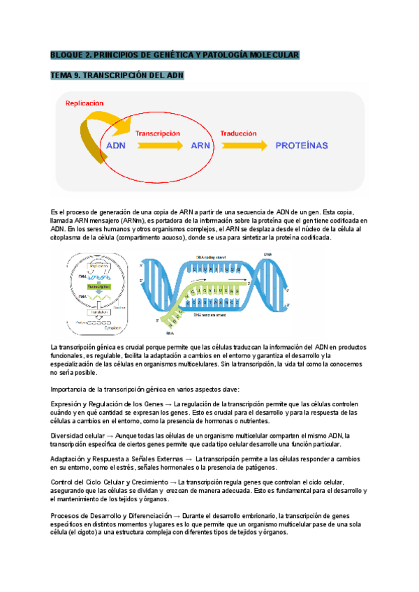Tema-9-biologia-y-bioquimica.pdf