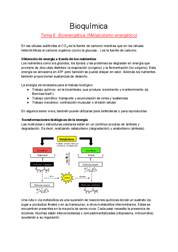 Temas-6-9-Bioquimica.pdf