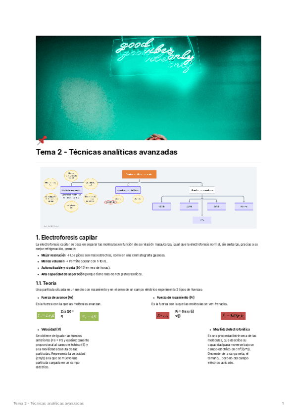 Tecnicas-Analiticas-Avanzadas.pdf