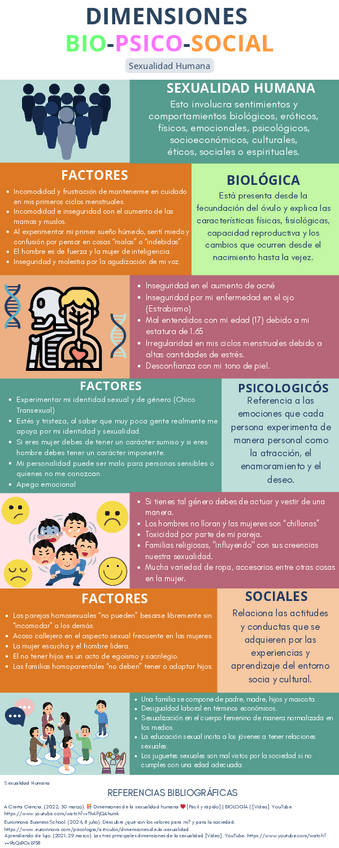 Infografia-Dimensiones-BIO-PSICO-SOCIAL.pdf