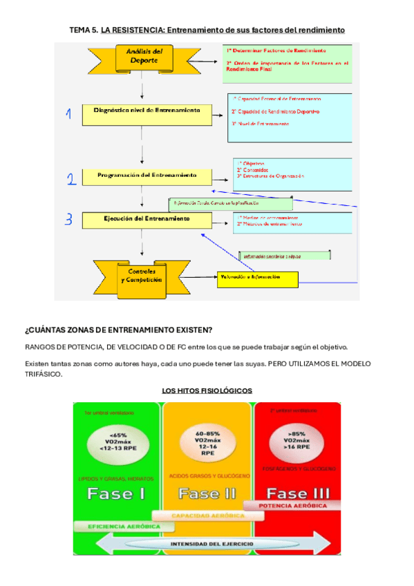 TEMA-5.-Zonas-de-entrenamiento-Selles.pdf