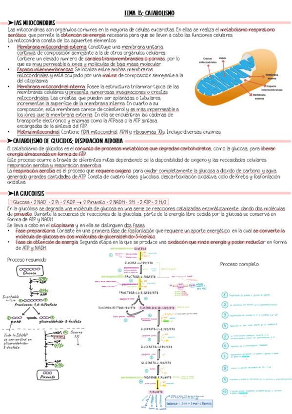 TEMA-15.-Resumen.pdf