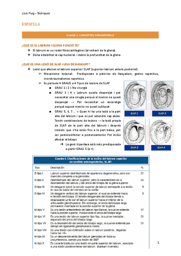 Cadenes-Musculars-espatlla-teoria.pdf