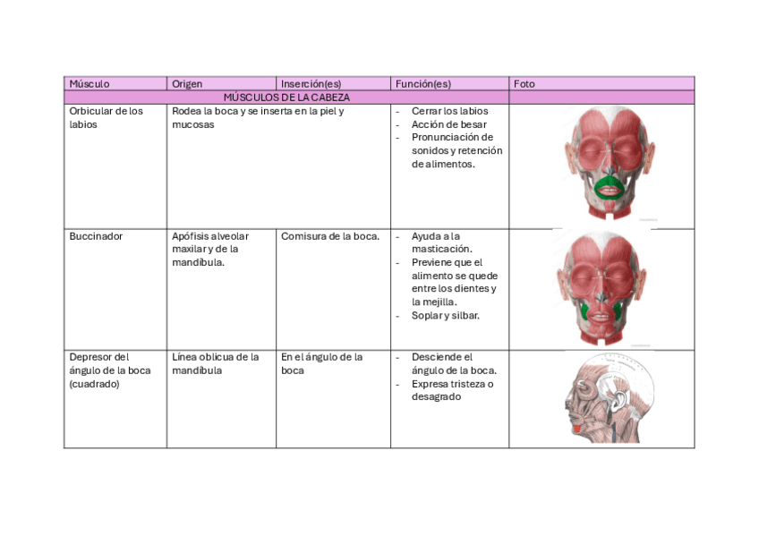 TABLA-COMPARATIVA-MUSCULOS.pdf