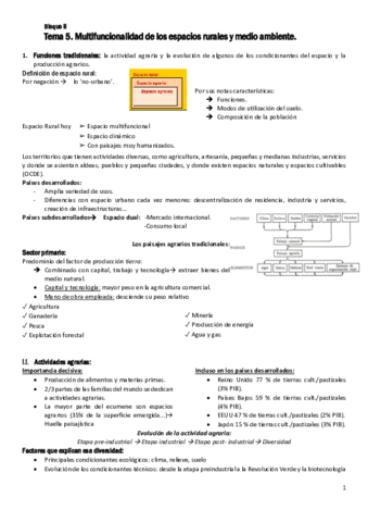 Tema 5.pdf