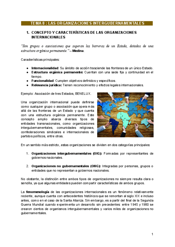 TEMA-8--LAS-ORGANIZACIONES-INTERGUBERNAMENTALES.pdf