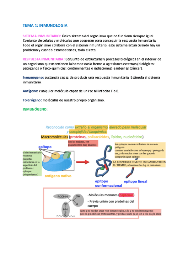 TEMA-1.pdf