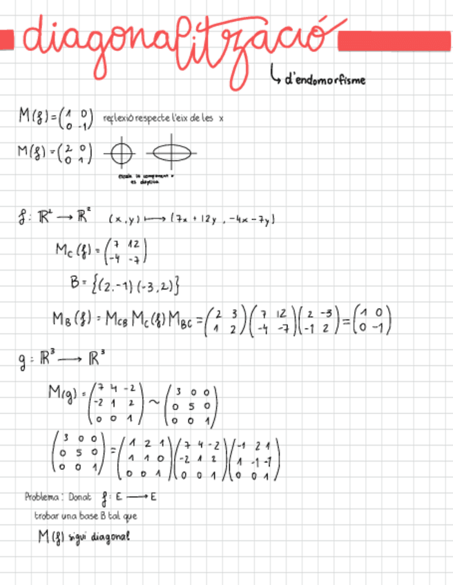 AlgebraLineal-DIAGONALITZACIO.pdf