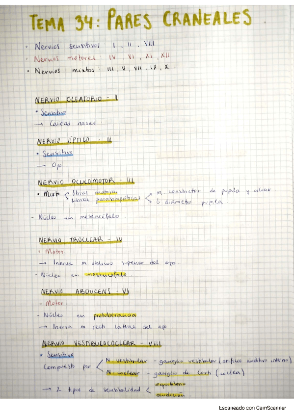 resumen-pares-craneales.pdf