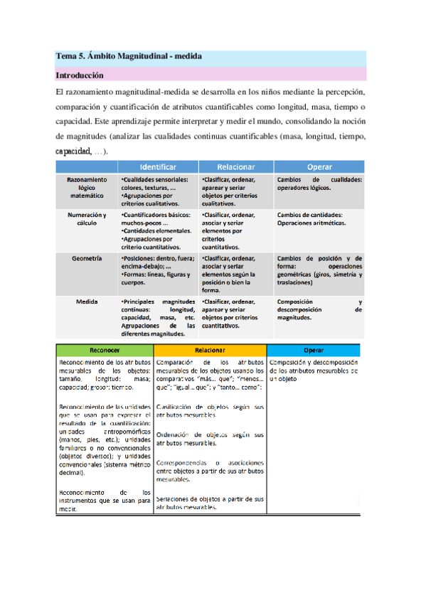 Tema-5Examen-de-Matematicas-en-Educacion-Infantil.pdf