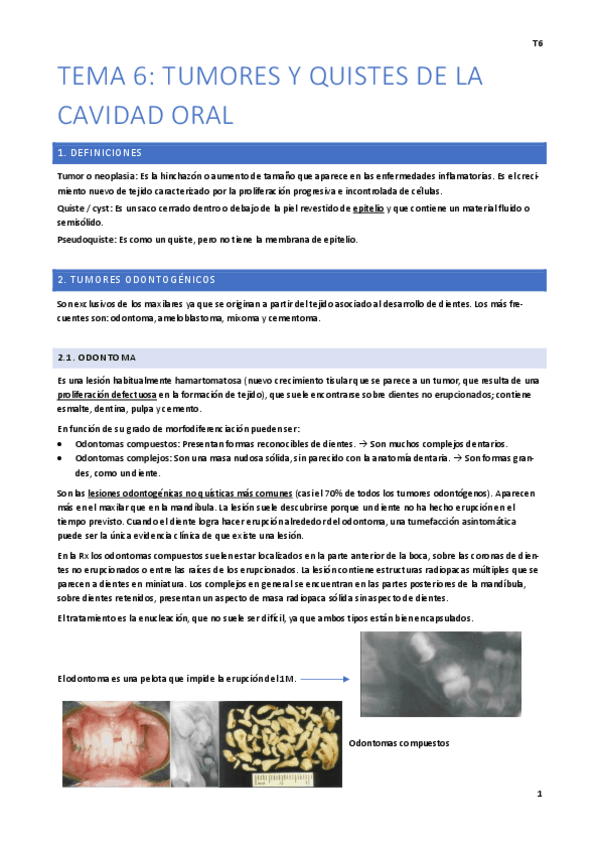Tema-6.pdf