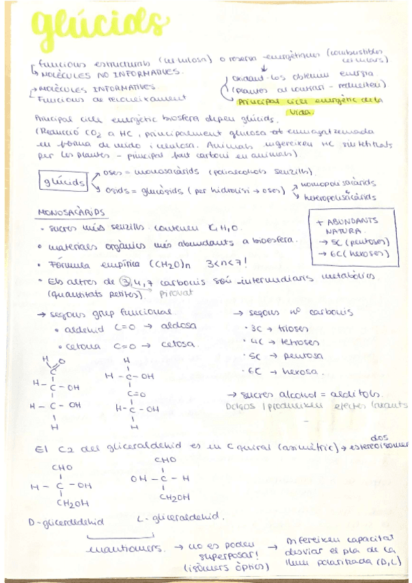 glucids-bio-part-1.pdf
