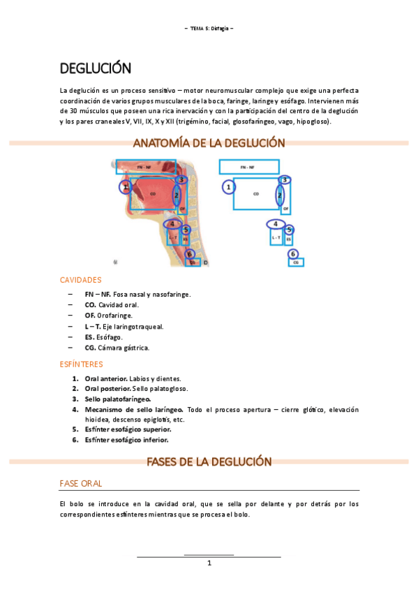 T.5 (Disfagia) - INT. HABLA Y FONV.pdf