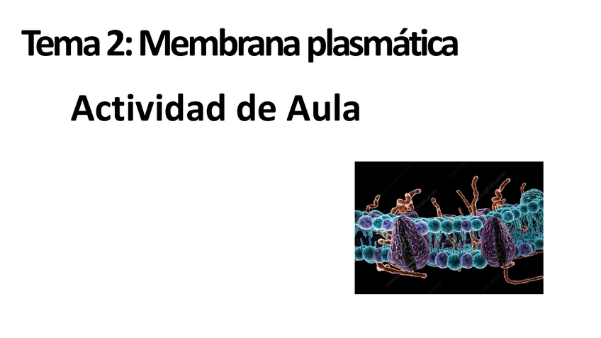 Actividad-de-Aula.-MEMBRANA-PREGUNTAS-Alumnos..pdf