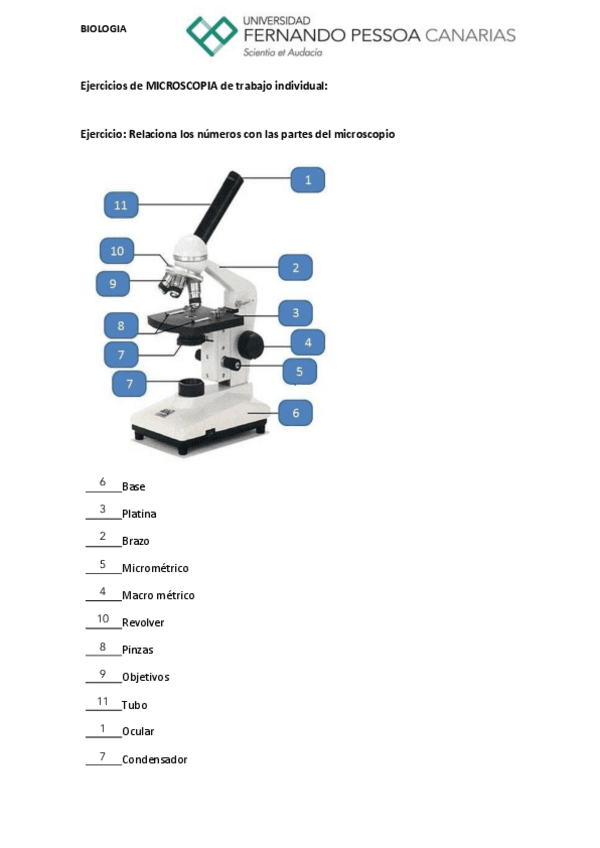 Ejercicio-2.-Microscopio..pdf