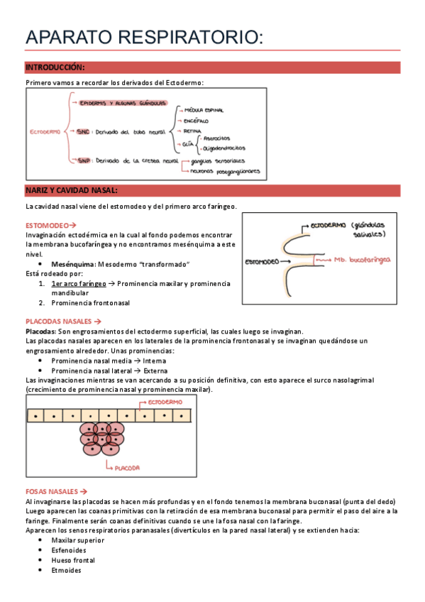 RESCAR-Embriologia-entero.pdf