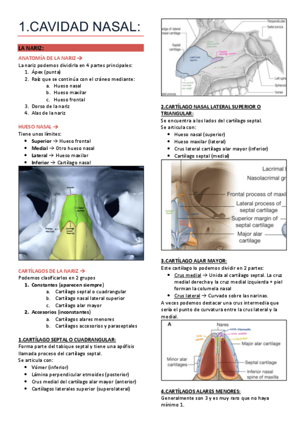 RESCAR-Anato-entero.pdf