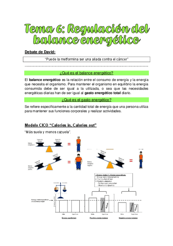 TEMA-6.-REGULACION-DEL-BALANCE-ENERGETICO.pdf