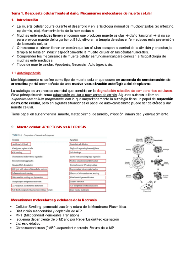 Tema-1.pdf
