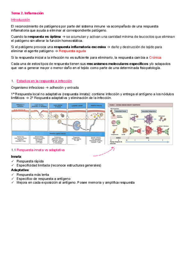 Tema-2.pdf