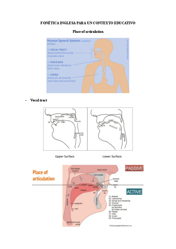 Resumen-Fonetica-Inglesa.pdf