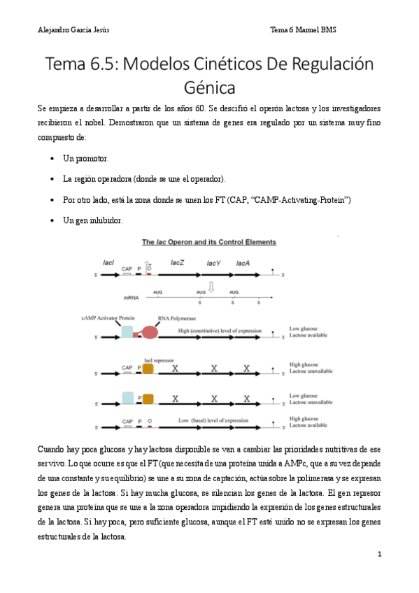Tercer-parcial-BMS.pdf