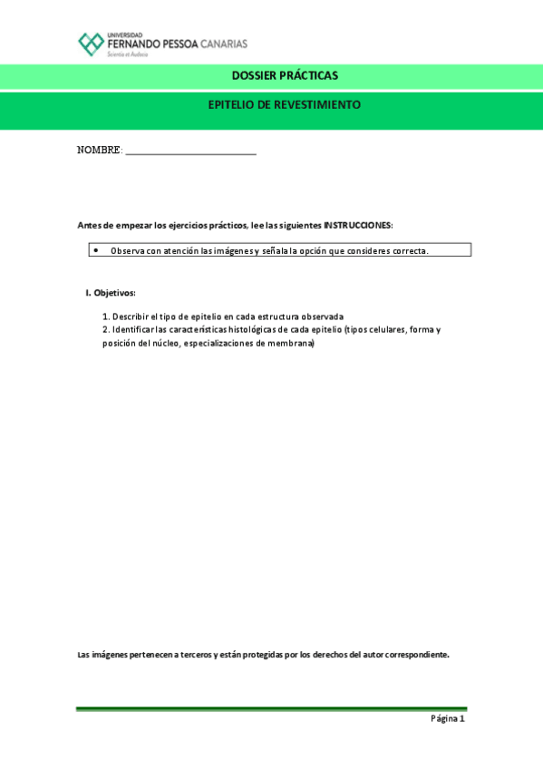 Epitelio-Revestimiento.pdf