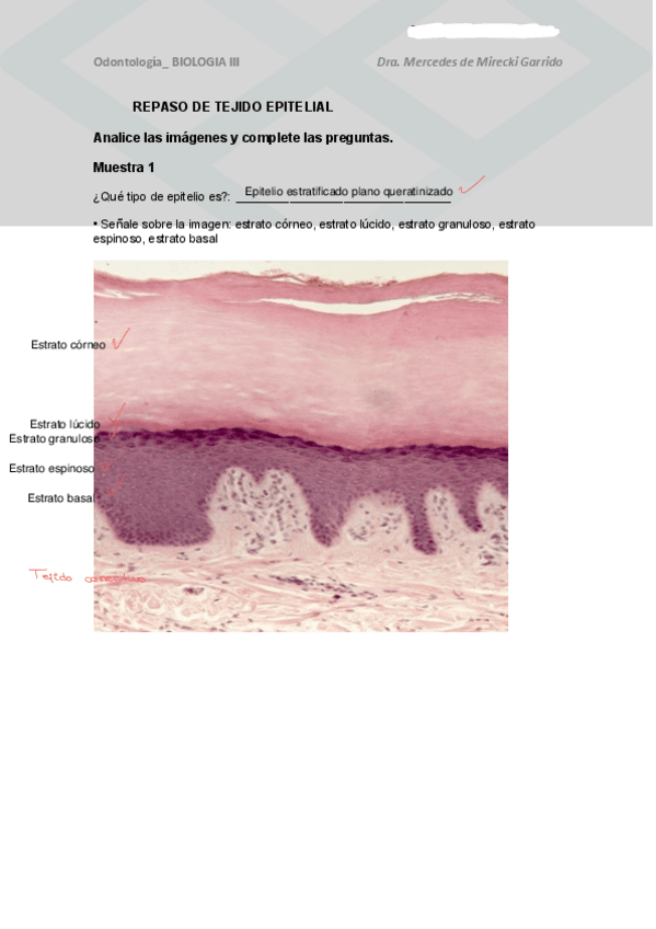 Repaso-Tejido-Epitelial.pdf