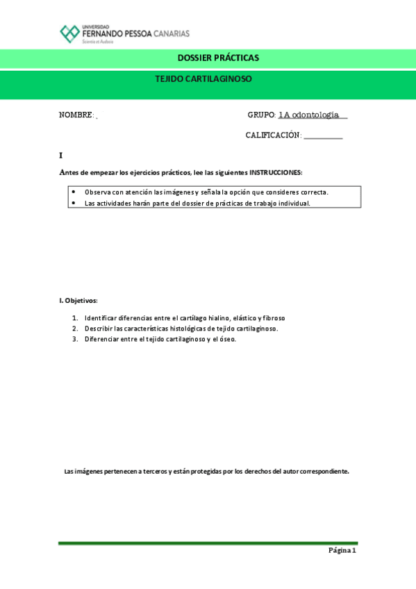 Tejido-Cartilaginoso.pdf