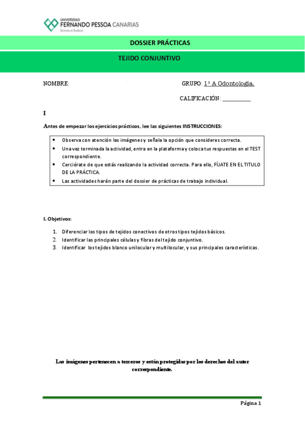 Tejido-Conjuntivo.pdf