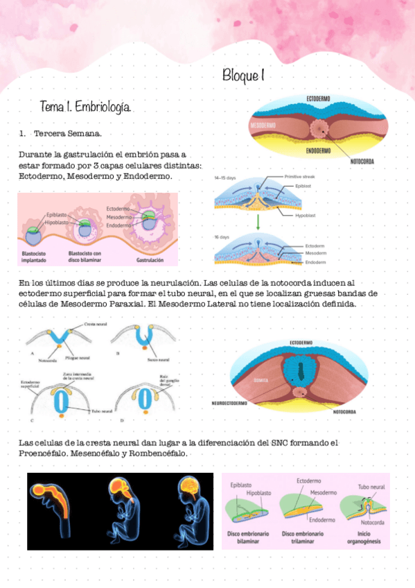 Primer-Examen.-Bloque-I.pdf