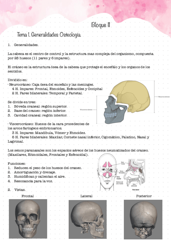 Primer-Examen.-Bloque-II-1.pdf