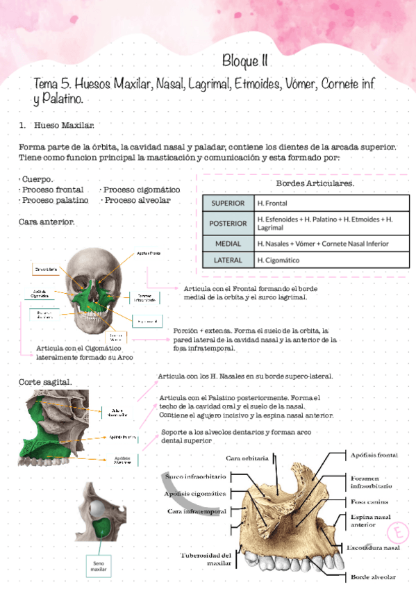 Primer-Examen.-Bloque-II-2.pdf