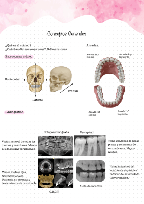 Conceptos-generales.pdf