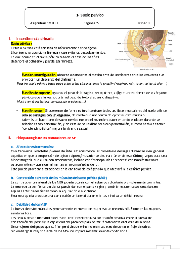 I.1-Suelo-pelvico.pdf