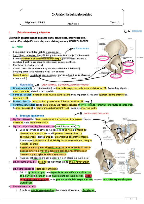 I.2-Anatomia-del-suelo-pelvico.pdf