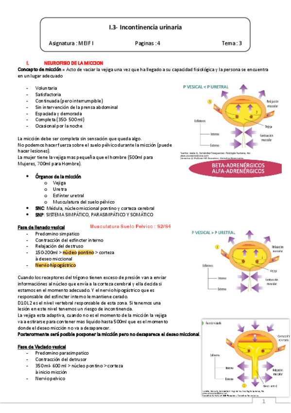 I.3-Incontinencia-urinaria.pdf