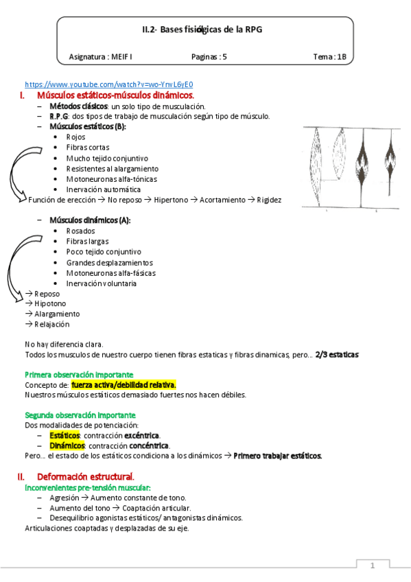 II.2-Bases-fisiologicas-de-la-RPG.pdf
