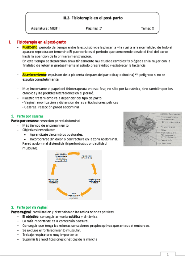 III.2-Fisioterapia-en-el-post-parto.pdf