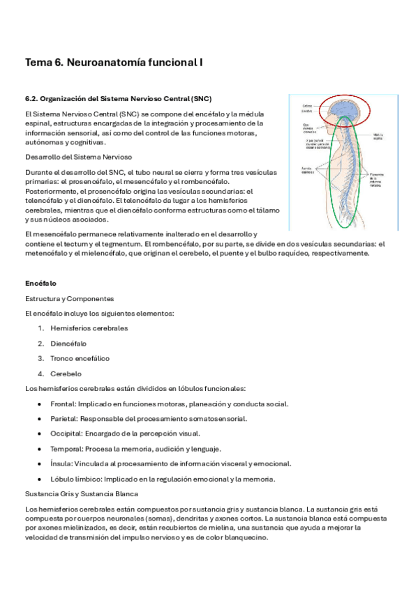 Tema-6-F.Biologicos.pdf
