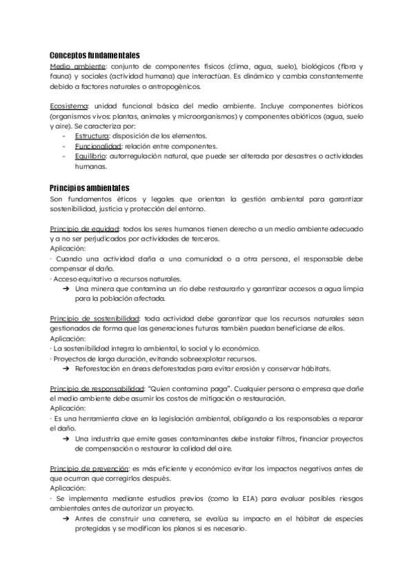 resumen-todo-EIA.pdf