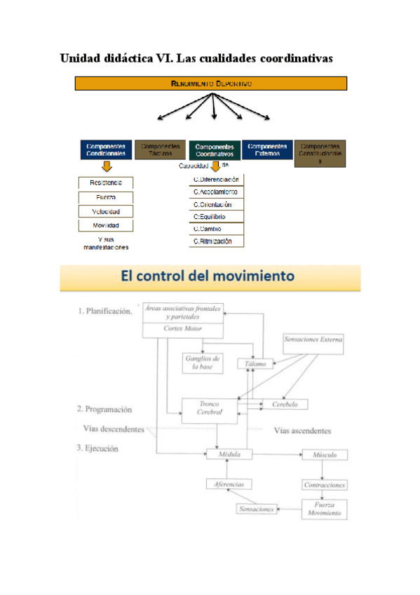 Unidad-didactica-VI..pdf