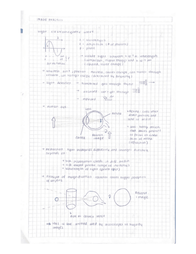 Cell-Biology-full-course-summaries.pdf