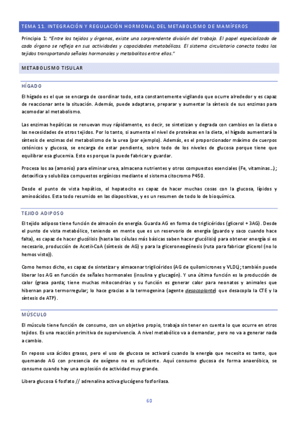 TEMA-11-BIOQUIMICA.pdf