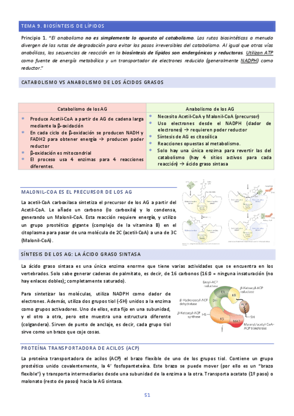 TEMA-9-Y-10-BIOQUIMICA.pdf